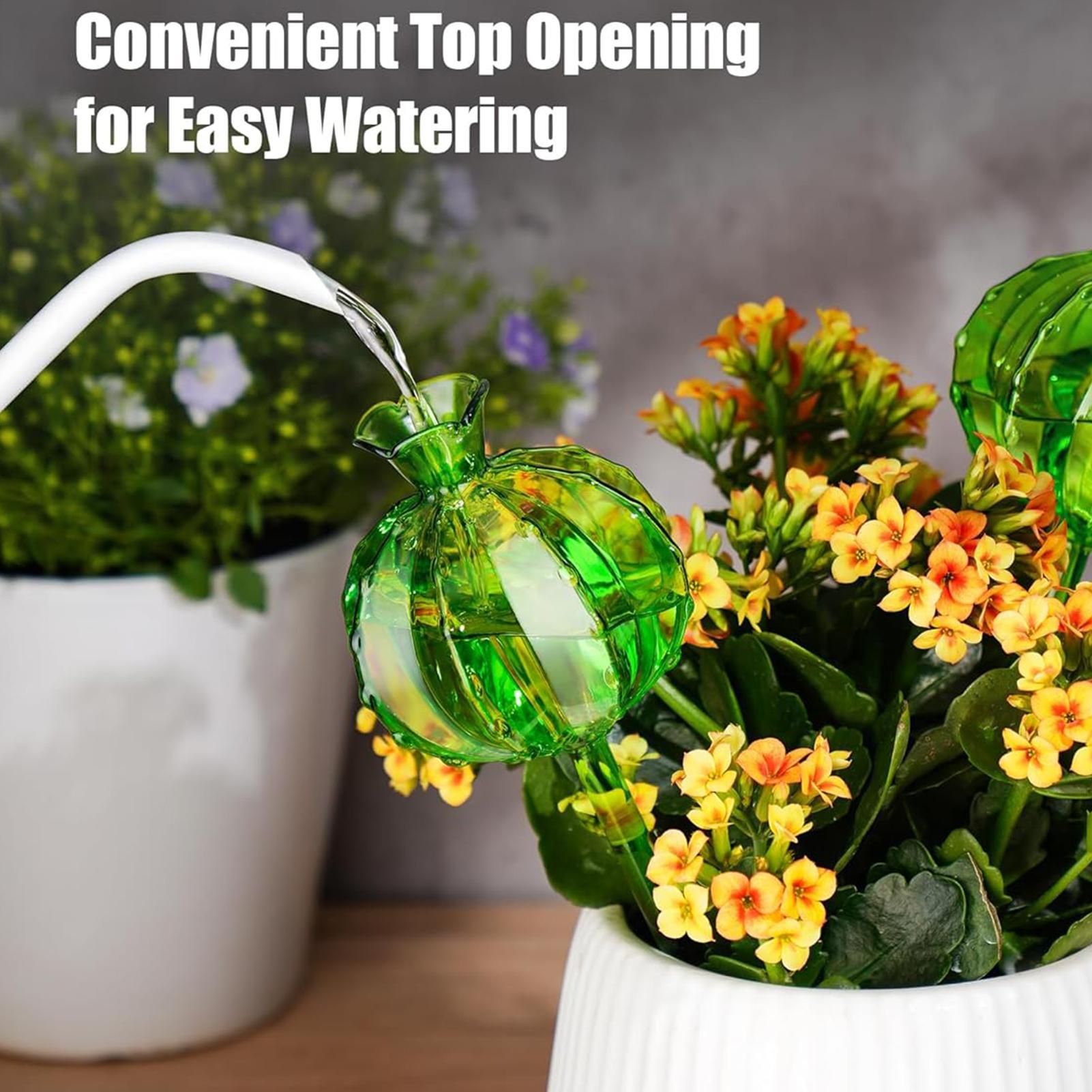 Globi per irrigazione piante c - Plant Watering Globe recensione e prezzo